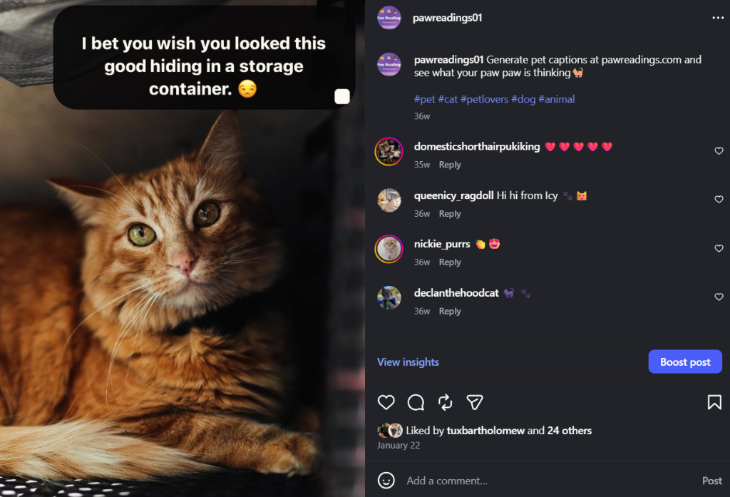 Paw Reading Instagram Post - Storage Container Cat