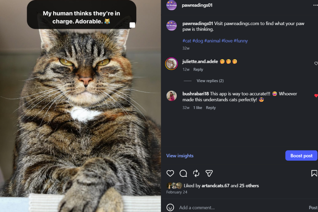 Paw Reading Instagram Post - Bossy Tabby Cat
