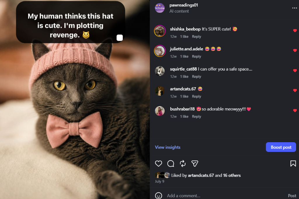 Paw Reading Instagram Post - Beanie Cat