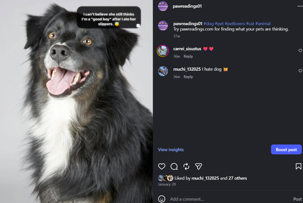 Paw Reading Instagram Post - Good Boy Dog